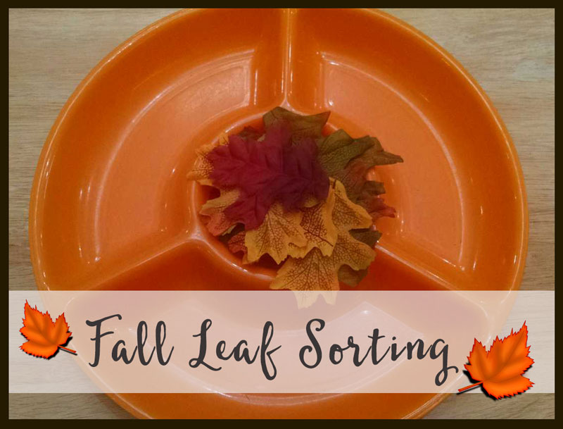 fallleaves