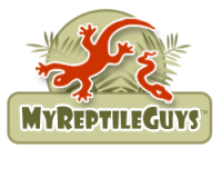 In-House Field Trip: Reptile Guys